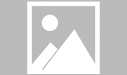 海螺漫画,趣味横生的海洋世界